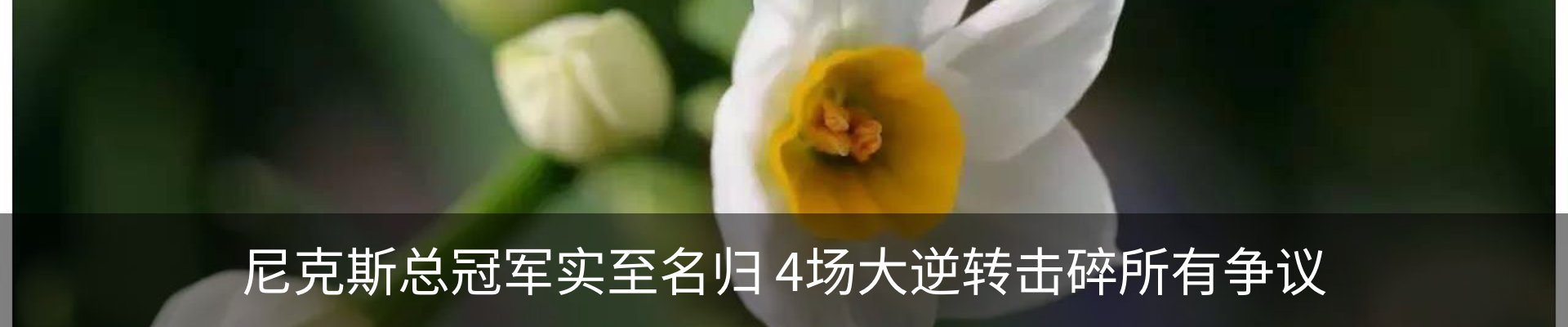 内页banner